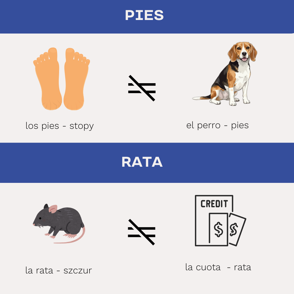 falsos amigos w języku hiszpańskim